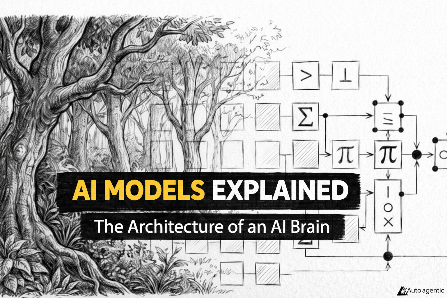The Architecture of an AI Brain: AI Models Explained